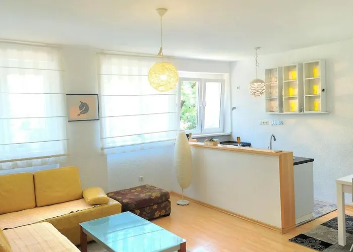 Spacious And Beautiful Apartman Sarajevo